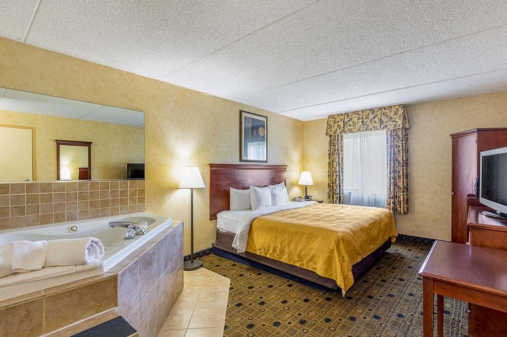 Quality Inn & Suites Coldwater Near I-69 Rum bild