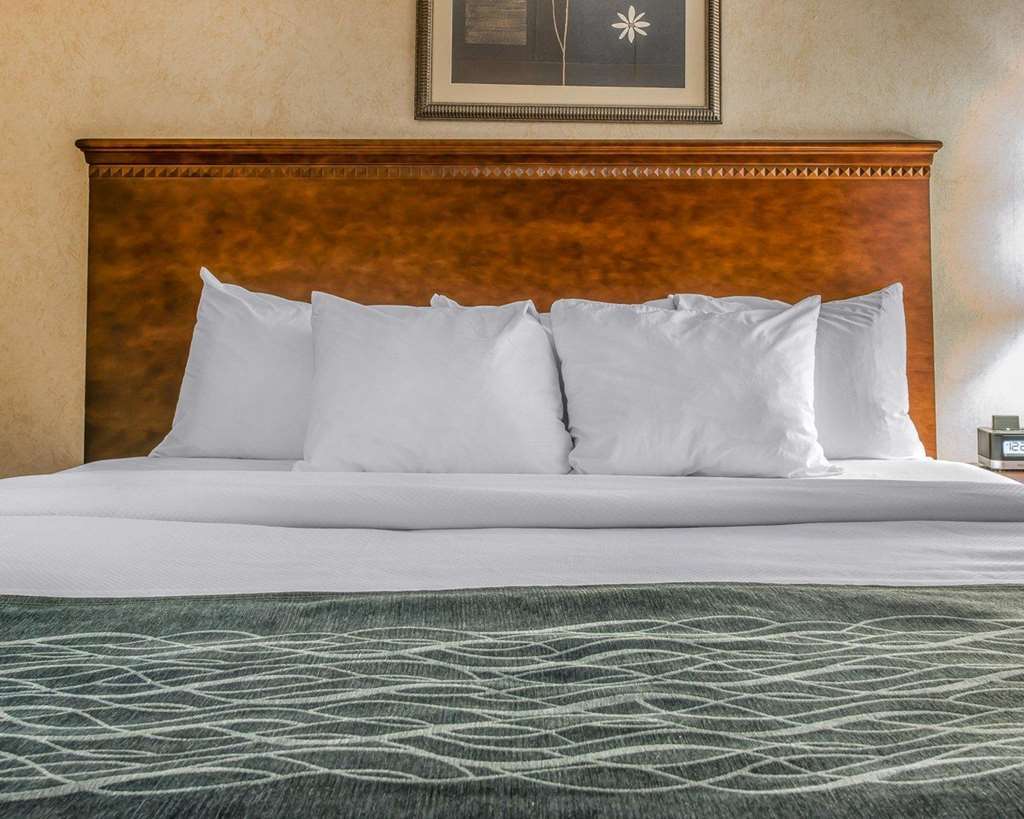 Quality Inn & Suites Coldwater Near I-69 Rum bild