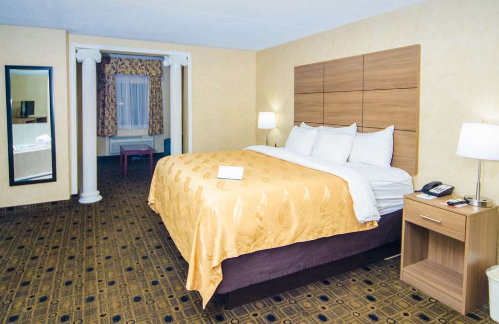Quality Inn & Suites Coldwater Near I-69 Rum bild